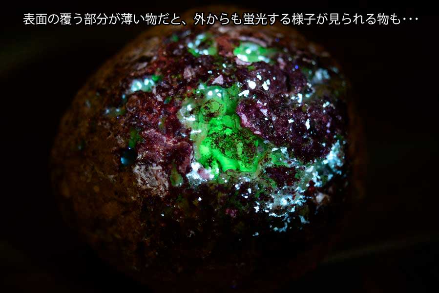 トランカスジオード TrancasGeode -株式会社オンビル-